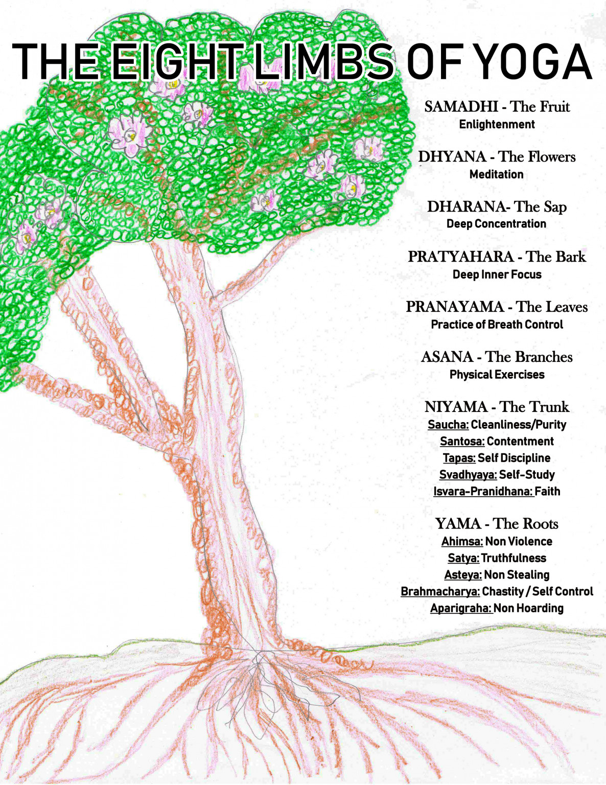 EightLimbs